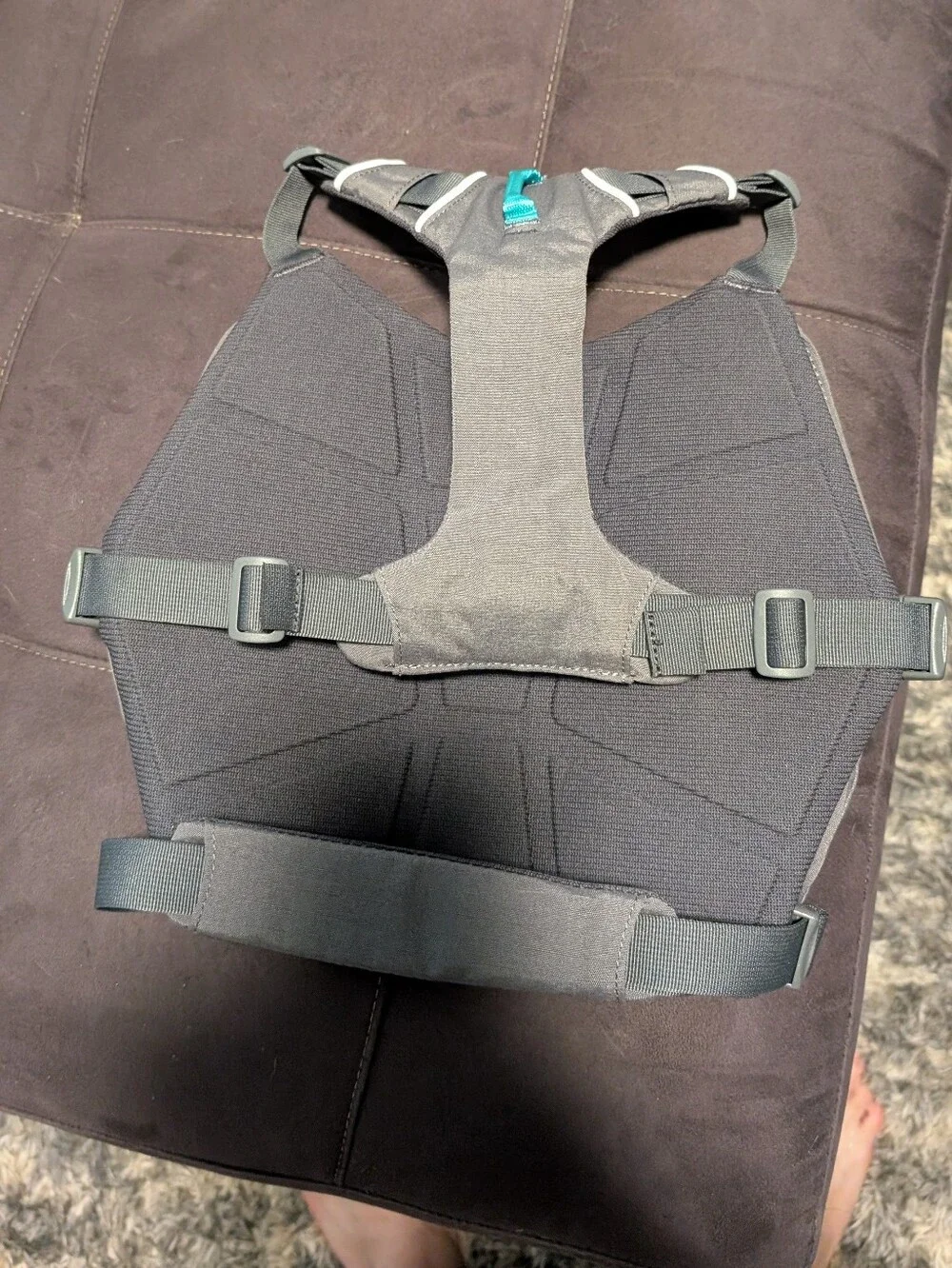 RuffWear worn once